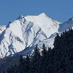 Ladner See